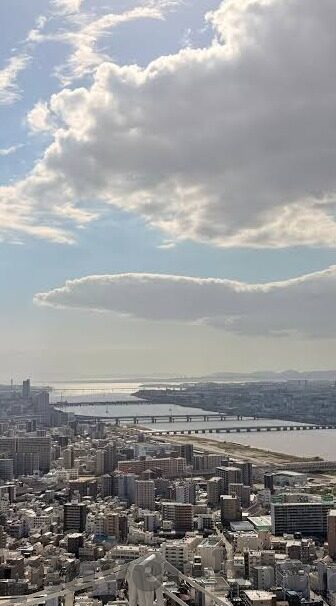 足球比分体球网手机-足球比分实时追踪，体球网手机应用，球迷的掌上宝典